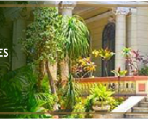 Celebra Cuba aniversario 59 de la UNEAC