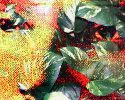 José Martí: Un gran pensador latinoamericano del siglo XIX