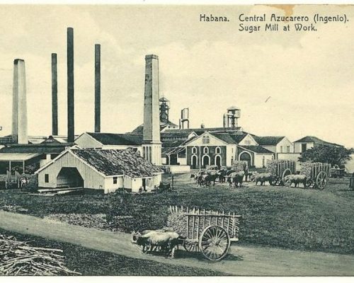 Como un New York entre las cañas