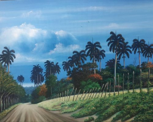 Un viaje a la esperanza (+Video)