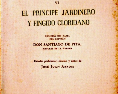 El príncipe que se disfrazó para amar