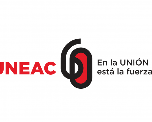 Pronunciamiento de la Asociación de Artistas de la Plástica de la UNEAC sobre la 14 Bienal de La Habana