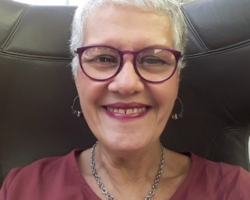 Vivian Martínez Tabares: la AHS «apunta al futuro»