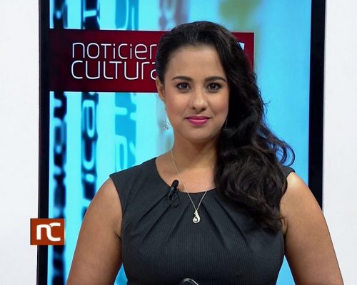 Noticiero Cultural: Apuntes para repensar el periodismo