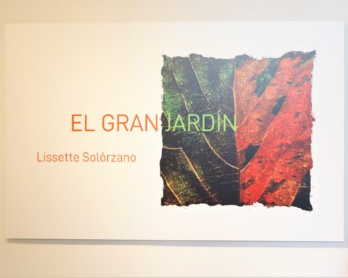 Expo de artista visual Lissette Solórzano en galería Villa Manuela de la UNEAC
