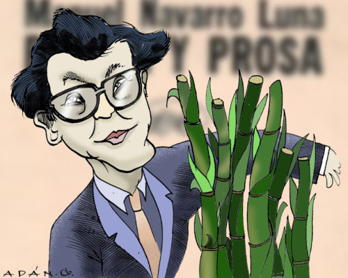 Manuel Navarro Luna